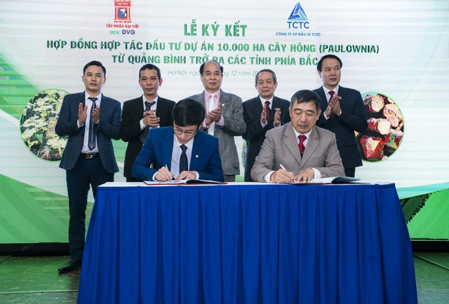 Sơn Đại Việt (DVG) hợp tác đầu tư 10.000 ha cây Hông với TCTC - Ảnh 2.