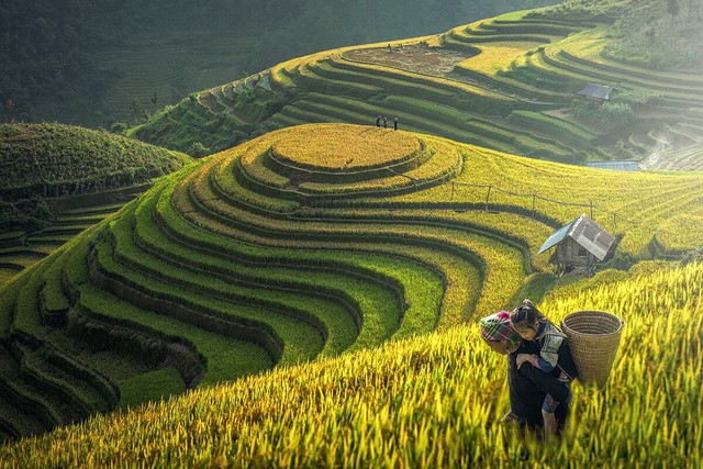 H&agrave;nh tr&igrave;nh l&ecirc;n TMĐT của hạt ngọc T&acirc;y Bắc - Ảnh 1.