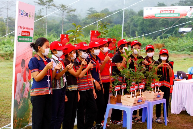 Dùng drone, mang hạt giống phủ xanh Việt Nam - Ảnh 3.