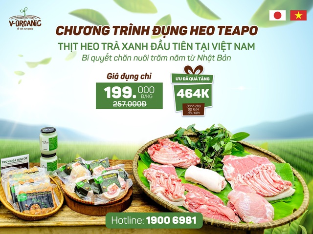 Dinh dưỡng từ thịt heo trà xanh Teapo, bí quyết chăn nuôi trăm năm từ Nhật Bản - Ảnh 1.