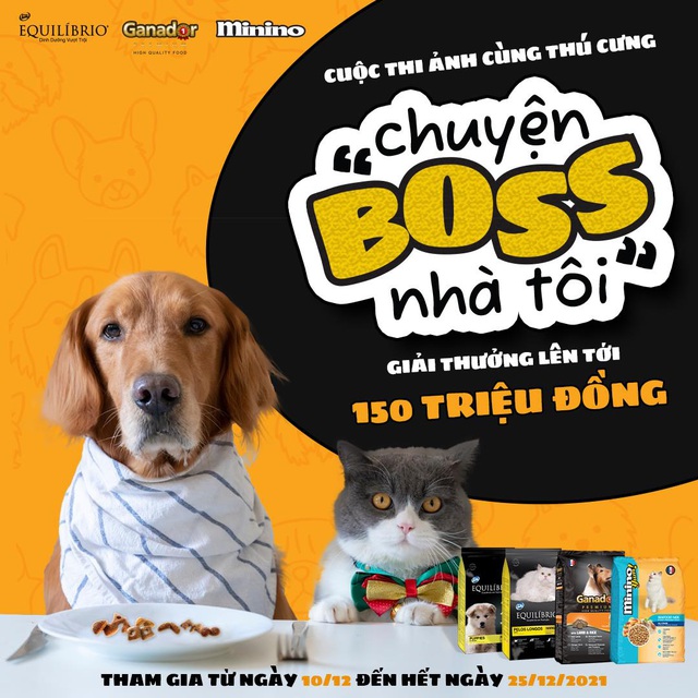 Kể &ldquo;Chuyện Boss nh&agrave; t&ocirc;i&rdquo; bằng ảnh, rinh iPhone 13 Pro cực chất - Ảnh 1.