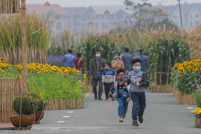 Home Hanoi Xuan 2021 - Nơi gặp gỡ hoa cỏ mùa xuân - Ảnh 9.
