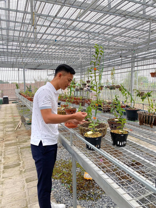 &Ocirc;ng chủ vườn lan Sỹ Trần: &ldquo;Con nh&agrave; n&ograve;i&rdquo; v&agrave; h&agrave;nh tr&igrave;nh g&acirc;y dựng 2 vườn lan ở Th&aacute;i B&igrave;nh, Hải Dương - Ảnh 3.