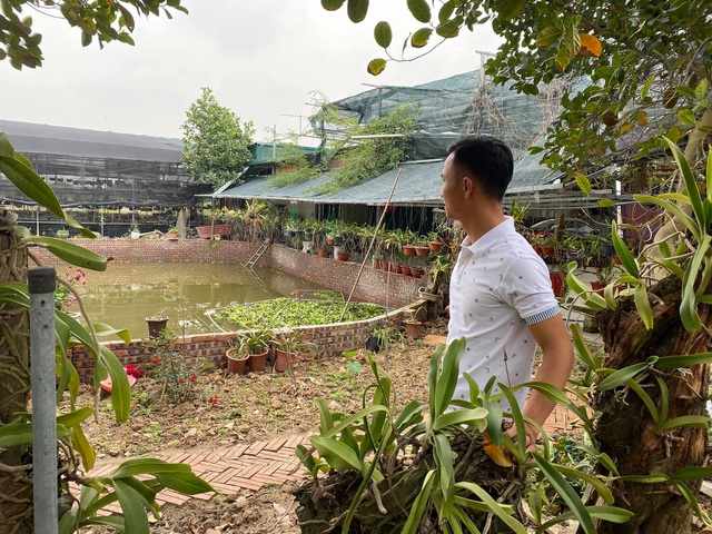 &Ocirc;ng chủ vườn lan Sỹ Trần: &ldquo;Con nh&agrave; n&ograve;i&rdquo; v&agrave; h&agrave;nh tr&igrave;nh g&acirc;y dựng 2 vườn lan ở Th&aacute;i B&igrave;nh, Hải Dương - Ảnh 4.