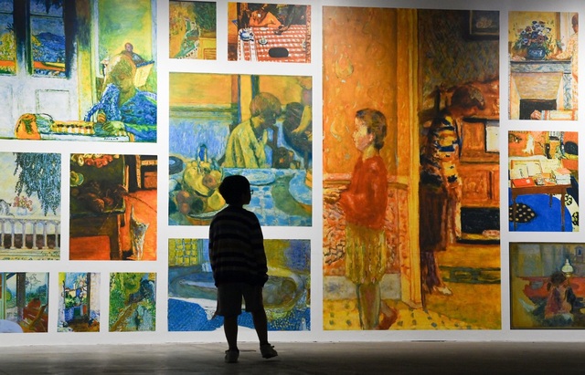 “Ngoài” và “trong” ở triển lãm của Claude Monet và Pierre Bonnaer tại VCCA - Ảnh 8.