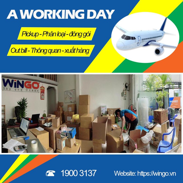 Dịch vụ gửi hàng đi mỹ uy tín - Wingo Logistics - Ảnh 3.