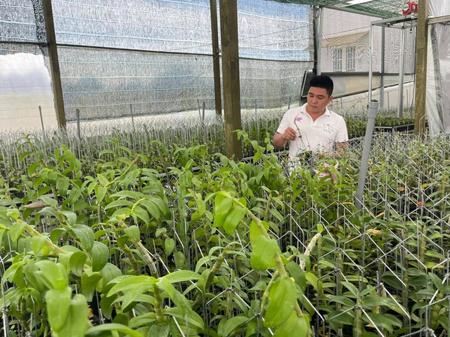 Ông chủ vườn lan 9x Lê Văn Nam chia sẻ niềm đam mê lan - Ảnh 3.