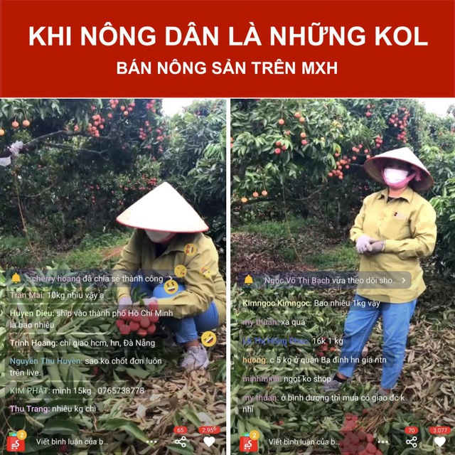 5 tỉnh một tuần bán 200 tấn nông sản trên sàn Thương mại điện tử - Ảnh 2.