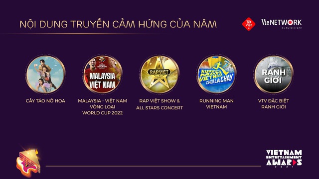 Vietnam Entertainment Awards (VEA): Giải thưởng của ngành giải trí Việt Nam - Ảnh 6.
