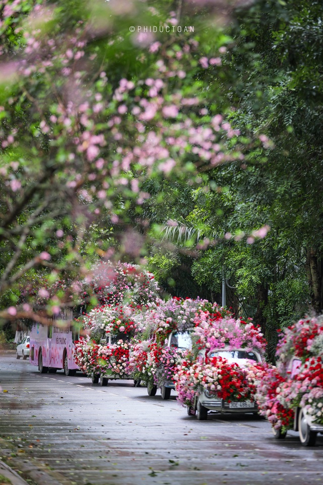 Valentine 2022: Màn tỏ tình bằng 99.999 bông hồng ấn tượng tại Hà Nội - Ảnh 3.