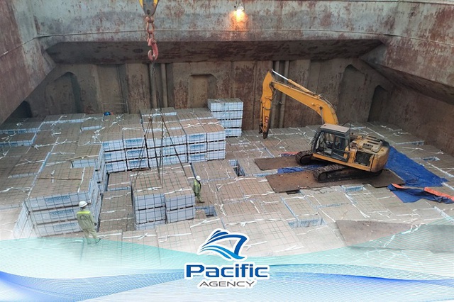 Pacific Logistics Group – Đơn vị tiên phong ngành Logistics tại Hải Phòng - Ảnh 1.