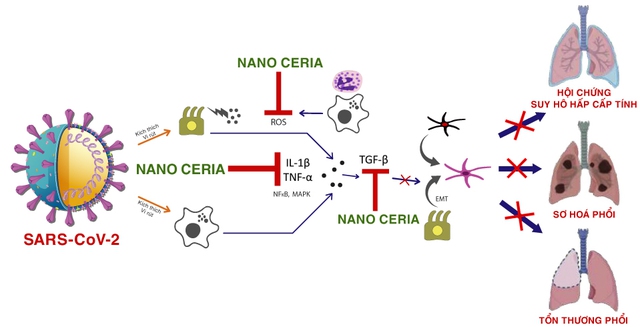 Kiểm soát đại dịch COVID-19 bằng Nano Ceria: Công nghệ Nano mới nhất trong y khoa - Ảnh 1.