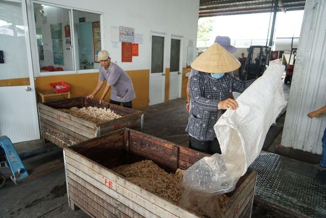 Puratos Grand-Place - Hành trình “gieo hạt, vươn mình trong ngành chocolate Việt - Ảnh 2.