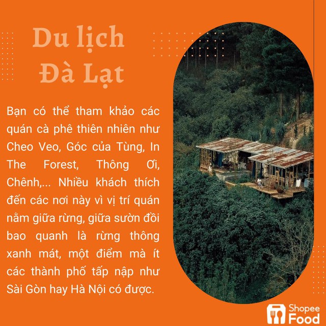 Du lịch Đ&agrave; Lạt thật chất theo c&aacute;ch của người hướng nội - Ảnh 7.