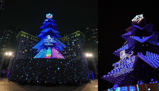 Thông pha lê Tiger Crysmas bừng sáng, hành trình góp đam mê tạo Giáng sinh diệu kỳ chính thức bắt đầu - Ảnh 1.