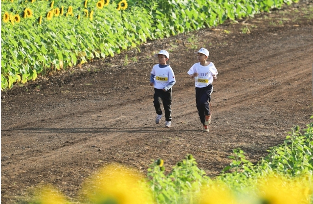 Gần 4000 học sinh - sinh viên chinh phục đường chạy hoa hướng dương tại S-Race Nghệ An - Ảnh 4.