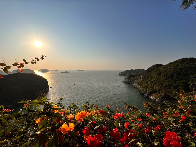 Thương nhớ m&ugrave;a hoa đẹp nhất nơi vịnh &Aacute;nh Dương - Ảnh 3.
