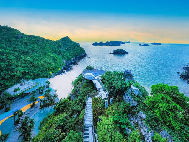 Thương nhớ m&ugrave;a hoa đẹp nhất nơi vịnh &Aacute;nh Dương - Ảnh 4.
