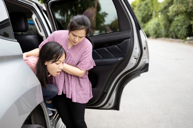 Để chặng đường du lịch kh&ocirc;ng c&ograve;n nh&acirc;n vật say xe - Ảnh 2.