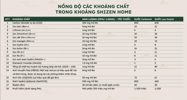 Công nghệ tạo khoáng nóng chuẩn Nhật trong dự án Shizen Home - Ảnh 2.