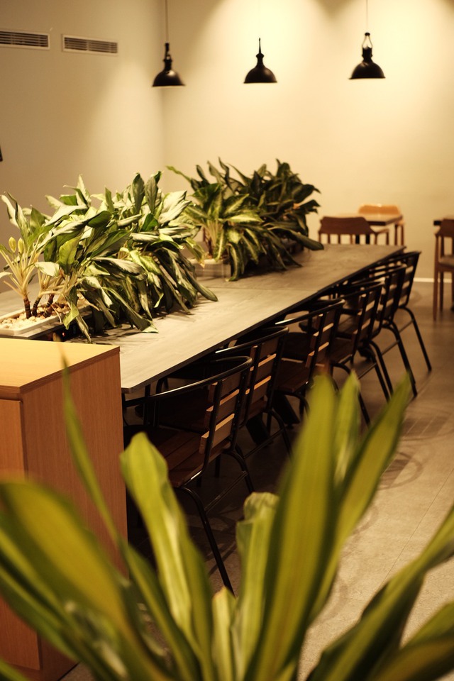 Bungu Café By Plus - không gian cà phê độc đáo cho dân văn phòng hiện đại - Ảnh 4.