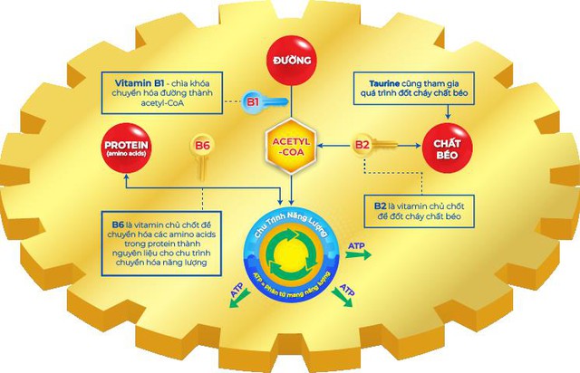 Nước tăng lực và những công dụng bạn không thể bỏ qua - Ảnh 1.