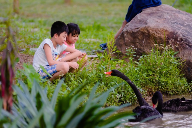 Trẻ con Ecopark đang sống tuổi thơ của “thời ông bà, cha mẹ” - Ảnh 7.