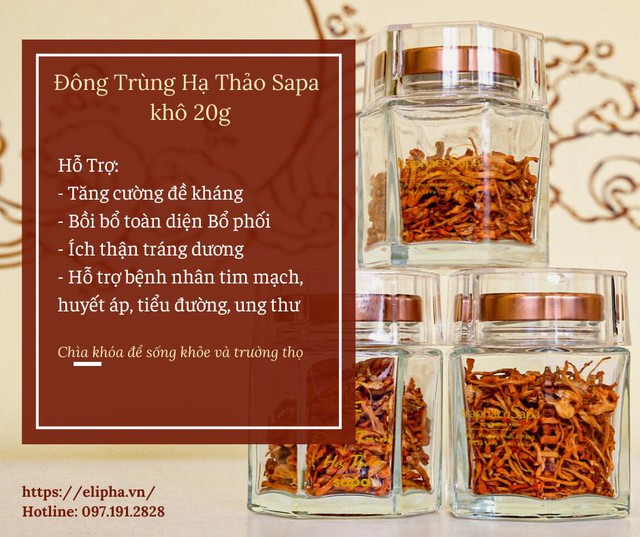 Đông trùng hạ thảo Elipha - liệu pháp tự nhiên chăm sóc cả gia đình - Ảnh 3.