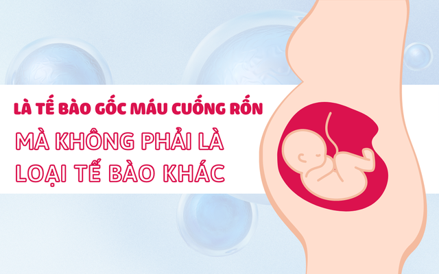 Lưu trữ tế bào gốc: Bảo vệ em bé, chăm sóc ông bà - Ảnh 1.