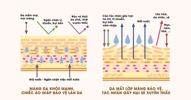 Tốn bao công chăm da mà kết quả nhận về lại không như ý thì rất có thể do chị em bỏ qua yếu tố quan trọng này - Ảnh 1.