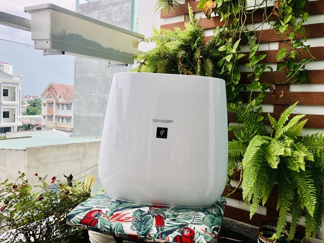5 m&oacute;n đồ gia dụng đắt xắt ra miếng đang được giảm gi&aacute; mạnh, chị em sắm về l&agrave; cuộc sống vừa nh&agrave;n lại sang xịn v&ocirc; c&ugrave;ng - Ảnh 3.