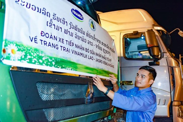  Vinamilk nhập đàn bò sữa 1000 con từ Mỹ về trang trại bò sữa  Lao-Jagro tại Lào  - Ảnh 1.