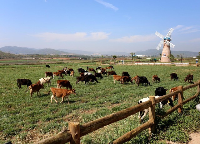 Cụm trang trại bò sữa Vinamilk Đà Lạt được vinh danh tại giải thưởng Môi trường Việt Nam - Ảnh 2.