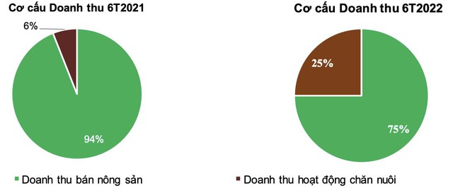 BAF dự kiến bán 600 tỷ đồng trái phiếu chuyển đổi cho IFC - Ảnh 1.