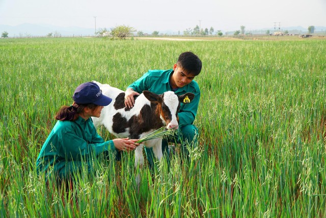 Không phải biển hay hồ bơi, đây mới là nơi các bé đòi xách vali lên đi chơi mỗi khi hè về - Ảnh 2.