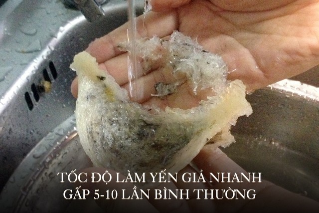 Thật giả lẫn lộn, yến trộn ngày càng nhiều - Ảnh 1.