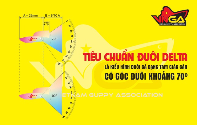 Cuộc thi cá bảy màu toàn quốc Vietnam Guppy Championship 2022 - Ảnh 2.