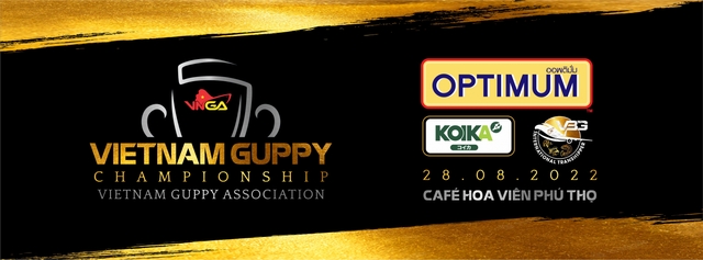 Cuộc thi cá bảy màu toàn quốc Vietnam Guppy Championship 2022 - Ảnh 3.