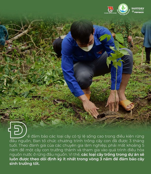 Giải mã các loại cây bản địa được chọn gieo mầm trong chương trình Triệu cây xanh - Vì một Việt Nam xanh - Ảnh 9.