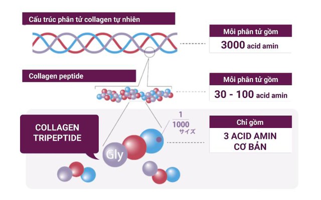 Vén màn “Nước uống collagen S Select Nhật Bản hỗ trợ giảm lão hóa” được hội chị em săn lùng thời gian qua - Ảnh 3.