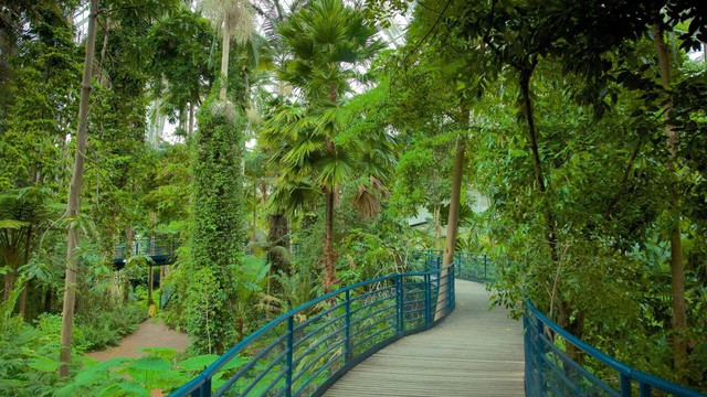 Đưa nhau đi trốn đến nơi phong cảnh hữu tình với những khu vườn xanh ở Adelaide, Australia - Ảnh 2.