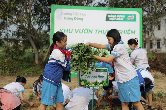 Ca sĩ nhí Đăng Bách cùng học sinh Nghệ An tham gia Ngày hội đi bộ MILO 2023 - Ảnh 9.