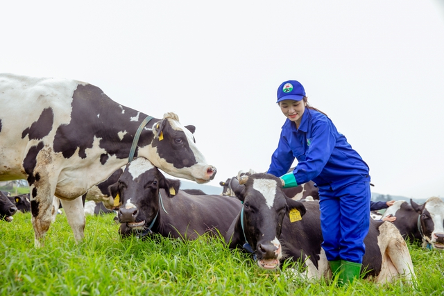 Mộc Châu Milk thông qua kế hoạch lợi nhuận 364 tỷ đồng năm 2023 - Ảnh 4.