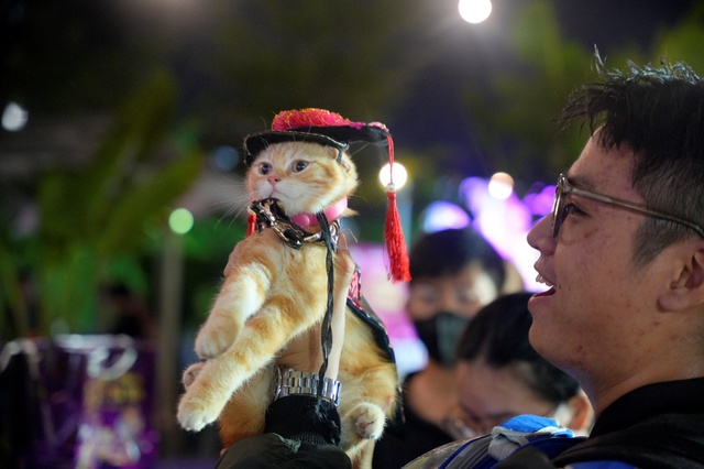 Mars Petcare Việt Nam tổ chức ngày hội thú cưng Dạ tiệc đỉnh - Boss si mê - Ảnh 4.