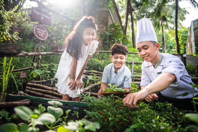 Khánh Hoà phát động chương trình Hành động xanh - vì tương lai xanh - Ảnh 2.