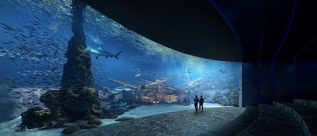 Thủy cung Lotte World Hà Nội - Thế giới đại dương đầy màu sắc sắp khai trương giữa lòng Thủ đô - Ảnh 2.