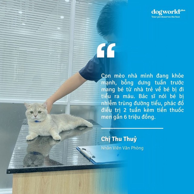 Chăm sóc thú cưng, mua 1 lần tiết kiệm nhiều lần, mua 1 nơi sử dụng nhiều nơi - Ảnh 1.