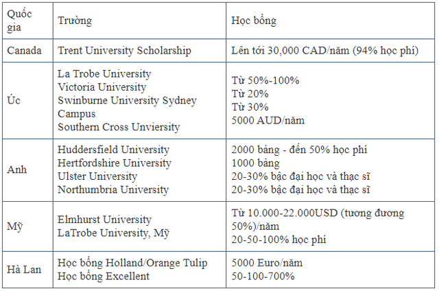 3 trào lưu du học cực hot năm 2024 - Ảnh 2.