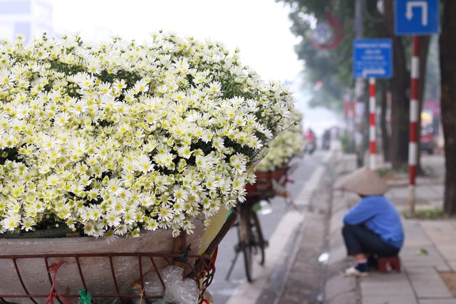 Giới trẻ rủ nhau tạo xu hướng thay màu xanh mát ngay khi thu vừa hé - Ảnh 1.