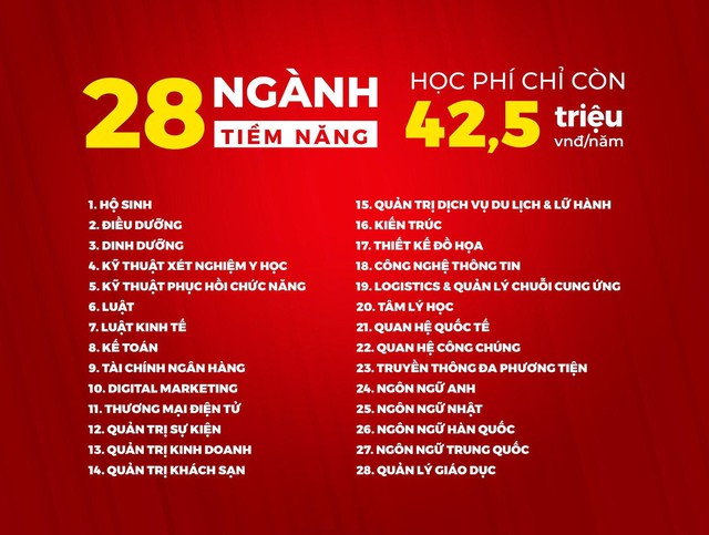 Đại học Quốc tế Hồng Bàng triển khai đặc quyền cho tân sinh viên năm 2024: Học bổng 100% học phí học kỳ I - Ảnh 5.